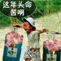 鲁晨晨