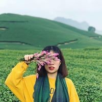 My Duyen Ho