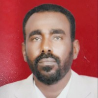 B. Hassan