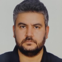 Tolga Ecevit