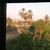 Magdy Elbosaily
