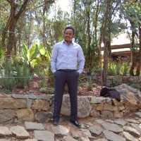 Mulugeta Abdi