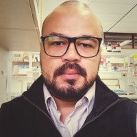 Breno Xavier Gonçalves