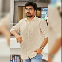 Vigneshwaran N