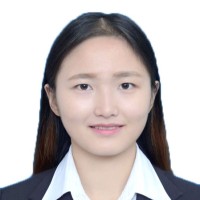 Ally Shouchuang Technology