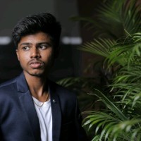 Kowsiknaraayanan K