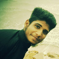 Muhammad Mujtaba Ali