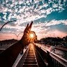 Amazing Videos