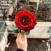 تسنيم كنزي