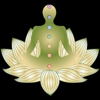 Yoga Retreat and Meditation