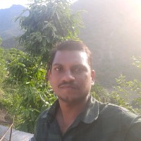 Prasad B