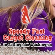 Speedy Fast Carpet Cleaning