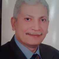 Adel Stefanos