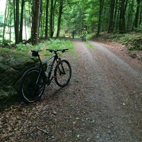 Martin. Skoog