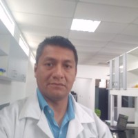 Fernando Serna Chumbes