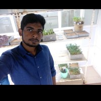 Vijay K