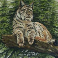 Gundolf Luchs