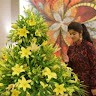 Md Seema