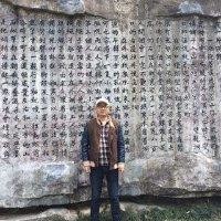 陈哲华