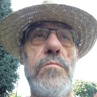 davide pirazzoli