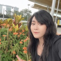 Huang Qing