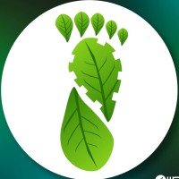 FLORESTA JR. CONSULTORIA FLORESTAL