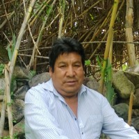 Alfredo Gamboa Gomez