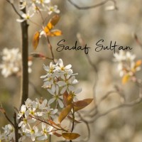 Sadaf Sultan