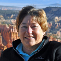 Sandra Postel
