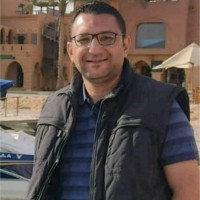 Amr Shawky