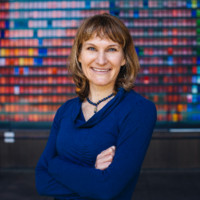 Amy Erickson