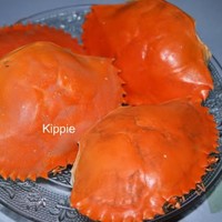 Crab Shell Suppliers