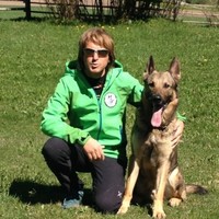 Werner Deiaco