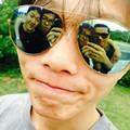Allen Lau