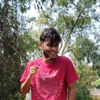 HARI PRASAD A