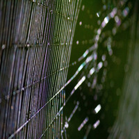 Find Your Light Photography