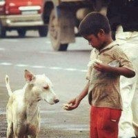 ابوعاقله على الحاج