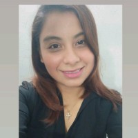 MERLE ZUÑIGA CHAPOL