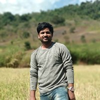 Raja Sekhar Arangi
