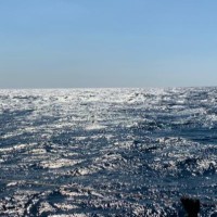 MARIA GRAZIA POLICASTRO