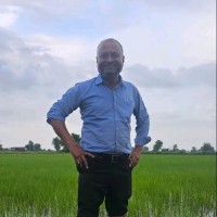 Ravindra Singh Bhadauriya