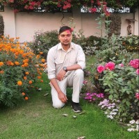 Rohit Mishra