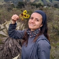 LAURA CATALINA VILLAMIZAR CARRILLO