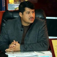 Navid zarifi