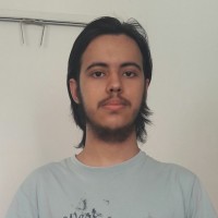 Pedro Henrique Tostes Braga