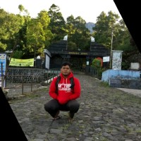 Setya Purnomo
