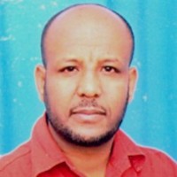 Alemu Assefa