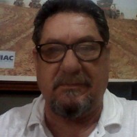 Luiz Henrique Bertino