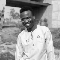 Adedeji Olugbedu