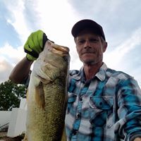 Mike Wesley